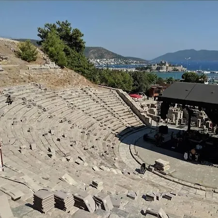 Tranquil Seaview With Private Pool In بودروم
