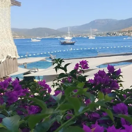 Tranquil Seaview With Private Pool In شقة بودروم