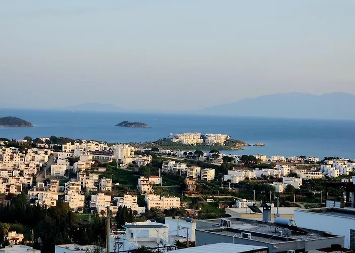 Daire Tranquil Seaview With Private Pool In