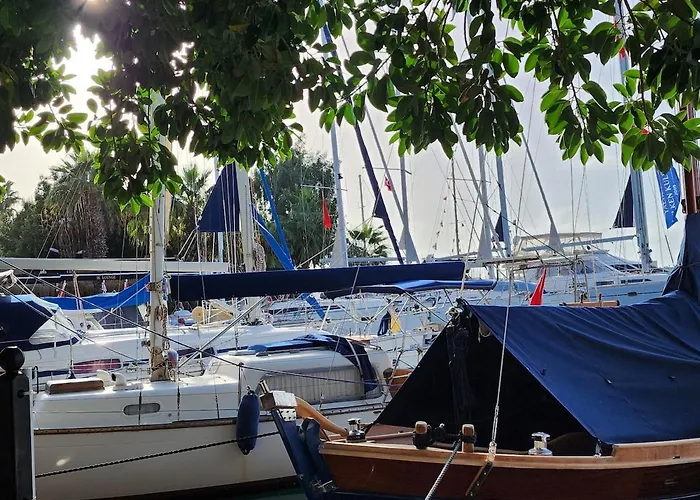 Tranquil Seaview With Private Pool In 公寓 博德鲁姆