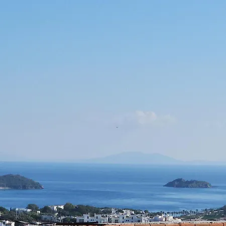 Tranquil Seaview With Private Pool In Bodrum