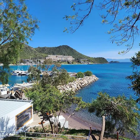 Tranquil Seaview With Private Pool In