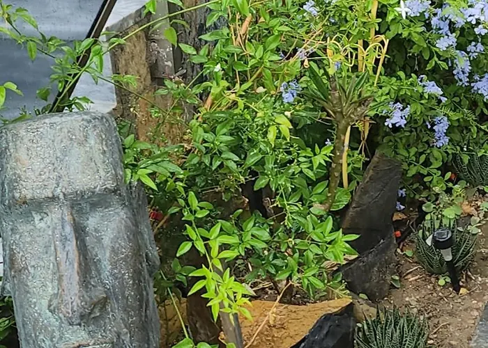 Tranquil Seaview With Private Pool In Апартаменты