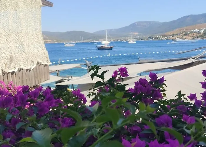 Tranquil Seaview With Private Pool In 公寓 博德鲁姆